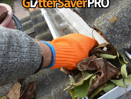 The Ultimate Guide to Gutter Protection During Home Maintenance